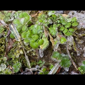 Meet your Posher, Katlyn